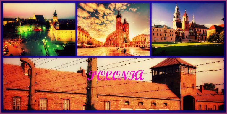 POLONIA COLLAGE